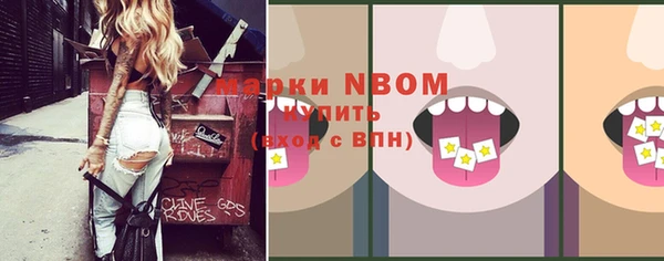 индика Аркадак