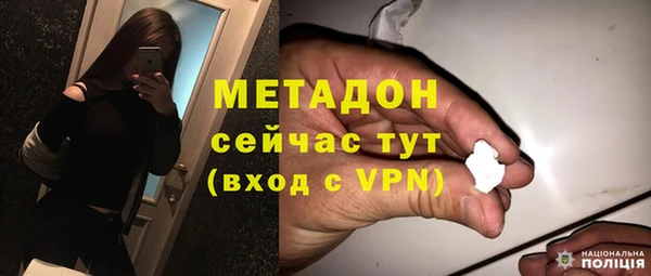 индика Аркадак