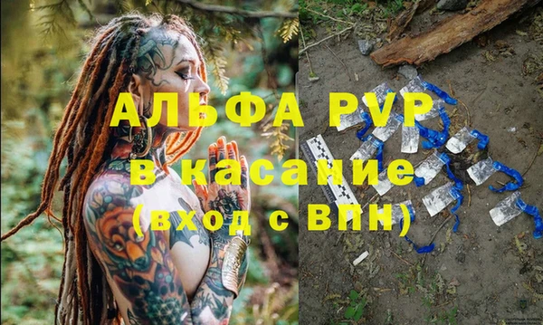 индика Аркадак