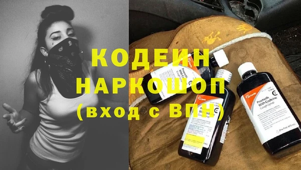 индика Аркадак