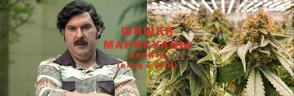 индика Аркадак