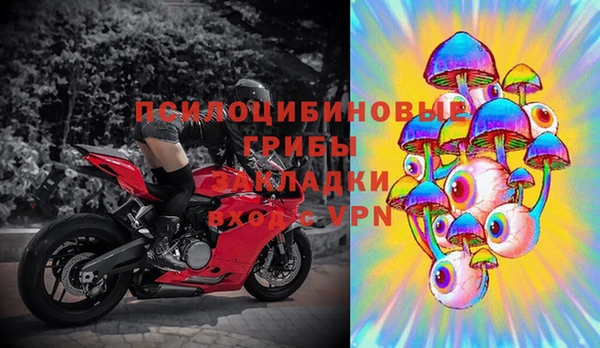 герыч Арсеньев