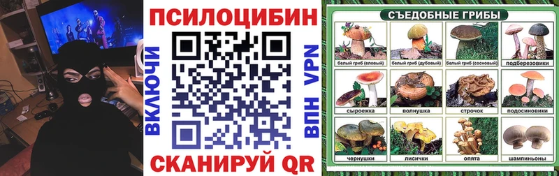 Псилоцибиновые грибы прущие грибы  Порхов 