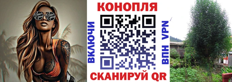 Бошки марихуана тримм  Порхов 